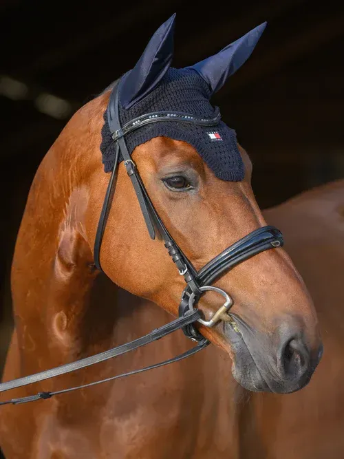 Bonnet Lexington soundless marine - TOMMY HILFIGER