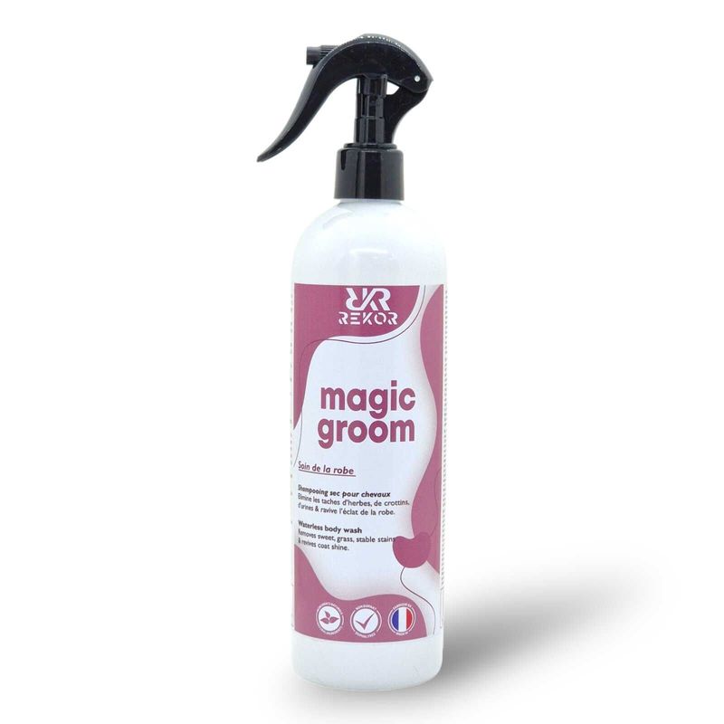 Shampoing sec Magic Groom - REKOR