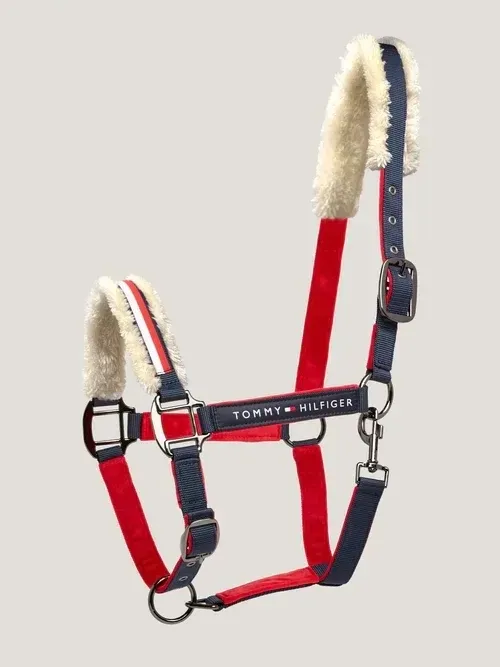 Licol Global Multi  - TOMMY HILFIGER