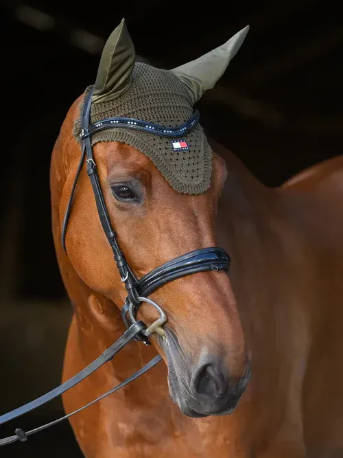 Bonnet Lexington olive - TOMMY HILFIGER