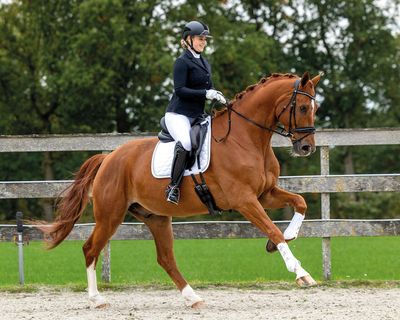 Spécial concours