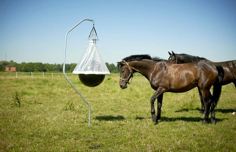 Piège à taons X Piège à taons X