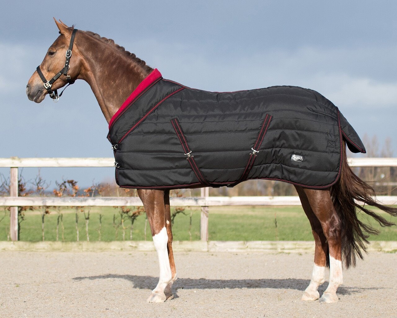 Couverture cheval Ecurie  noir 200g collection Luxe - QHP