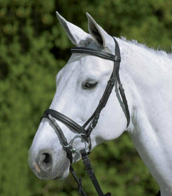Bridon Diamond