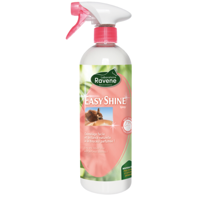 DEMELANT "Easy Shine" 750 ml - RAVENE