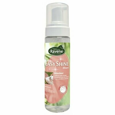 Détachant mousse Détachant mousse "Easy Shine"200 ml - RAVENE