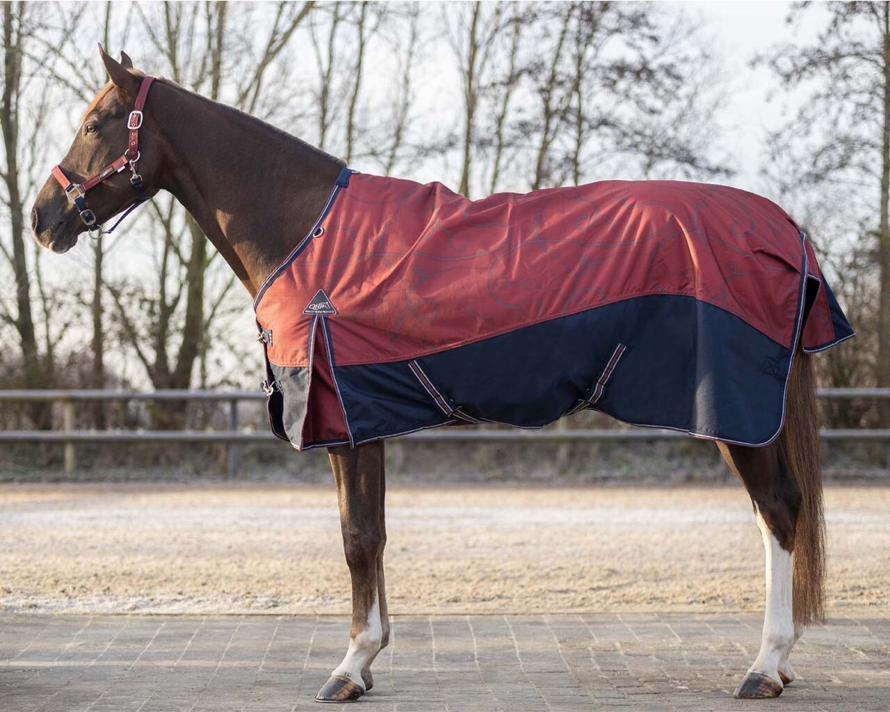 Couverture extérieur 150g Saddlery 155 - QHP Couverture extérieur 150g Saddlery 155 - QHP
