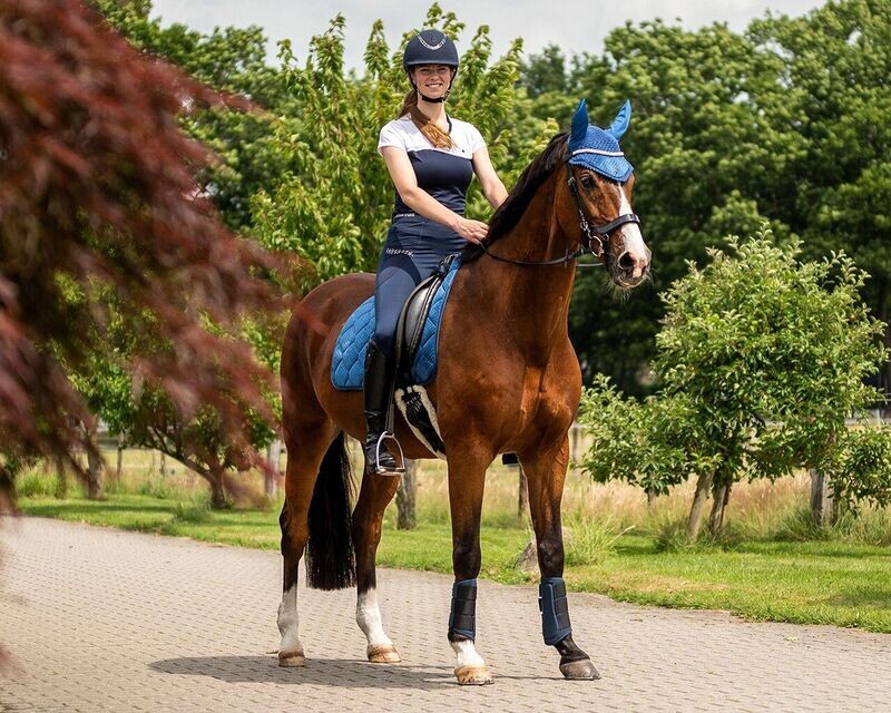 Tee shirt Zarah Marine 36 -QHP