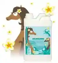 Shampoing Tahiti Pearl 1L - HOW Shampoing Tahiti Pearl 1L - HOW