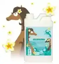 Shampoing Tahiti Pearl 1L - HOW