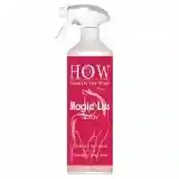 Démêlant lustrant Magic liss spray 500ml - HOW