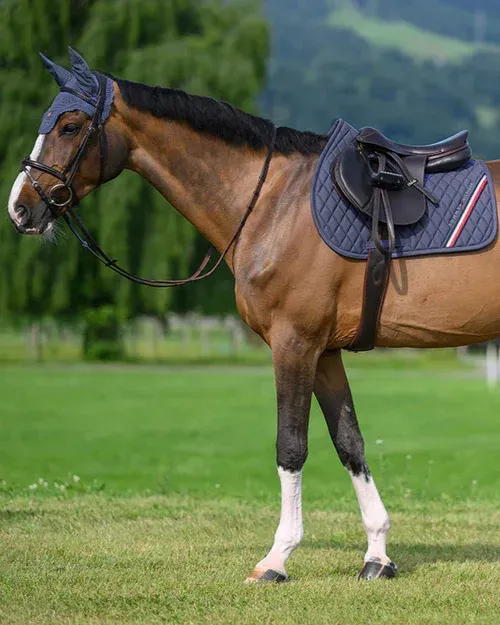 Tapis Standford Indigo - TOMMY HILFIGER Tapis Standford Indigo - TOMMY HILFIGER