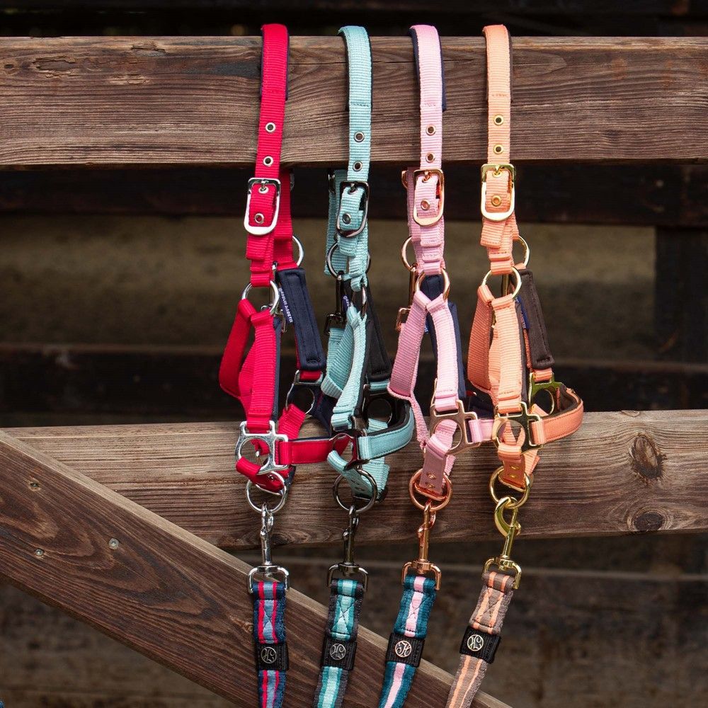 Licol poulain - Harry's Horse