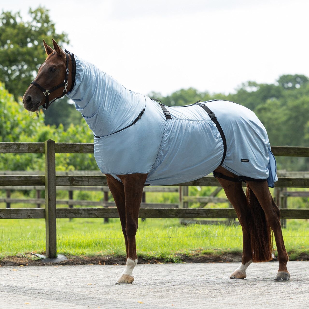 Couverture anti eczéma - QHP