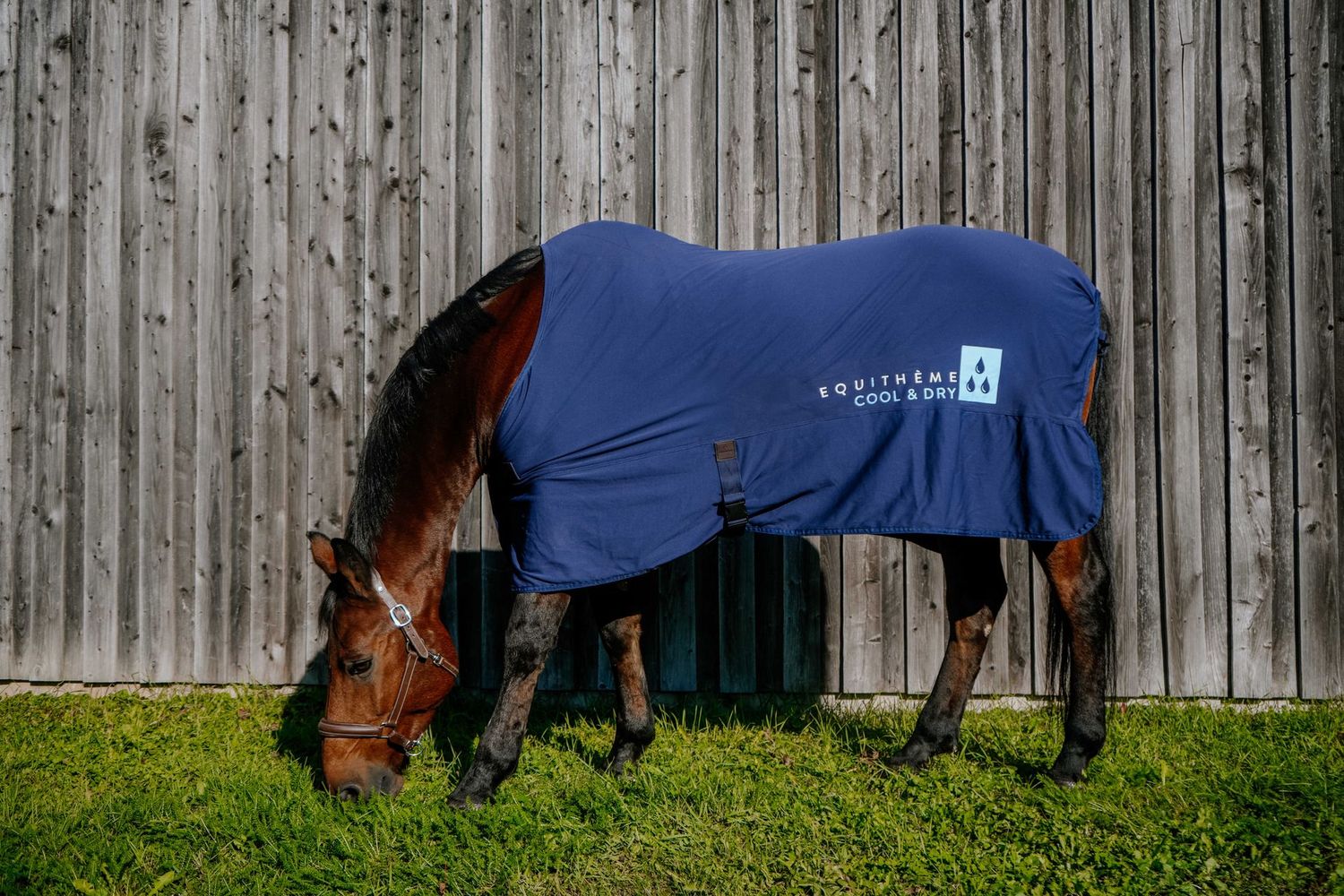 Chemise Cool&Dry Fresh - Equithème Chemise Cool&Dry Fresh - Equithème