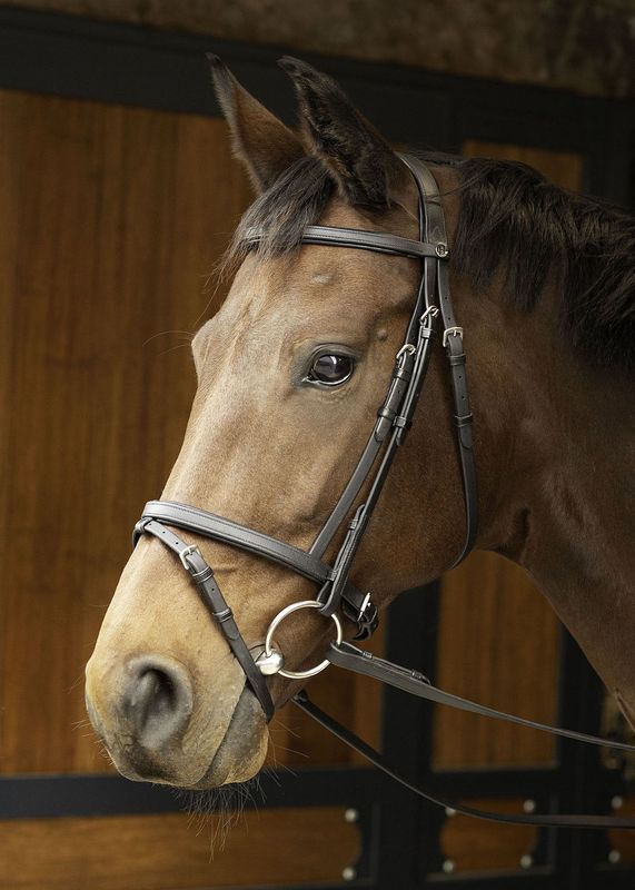 Bridon Easy Care Noir - HARRY'S HORSE Bridon Easy Care Noir - HARRY'S HORSE