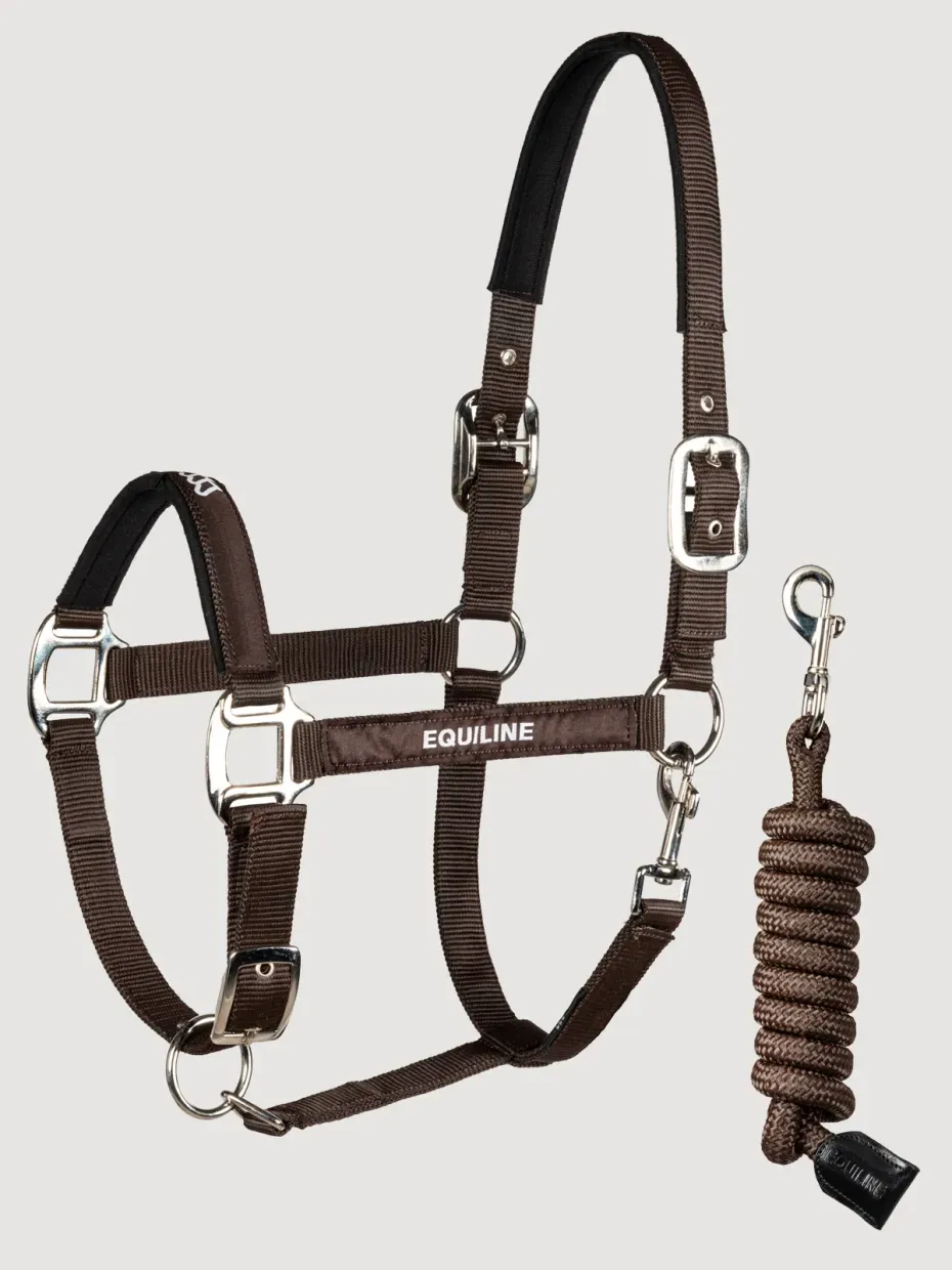 Licol marron EW26 - EQUILINE Licol marron EW26 - EQUILINE