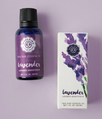 Lavender Essential Oil 1oz - Woolzies