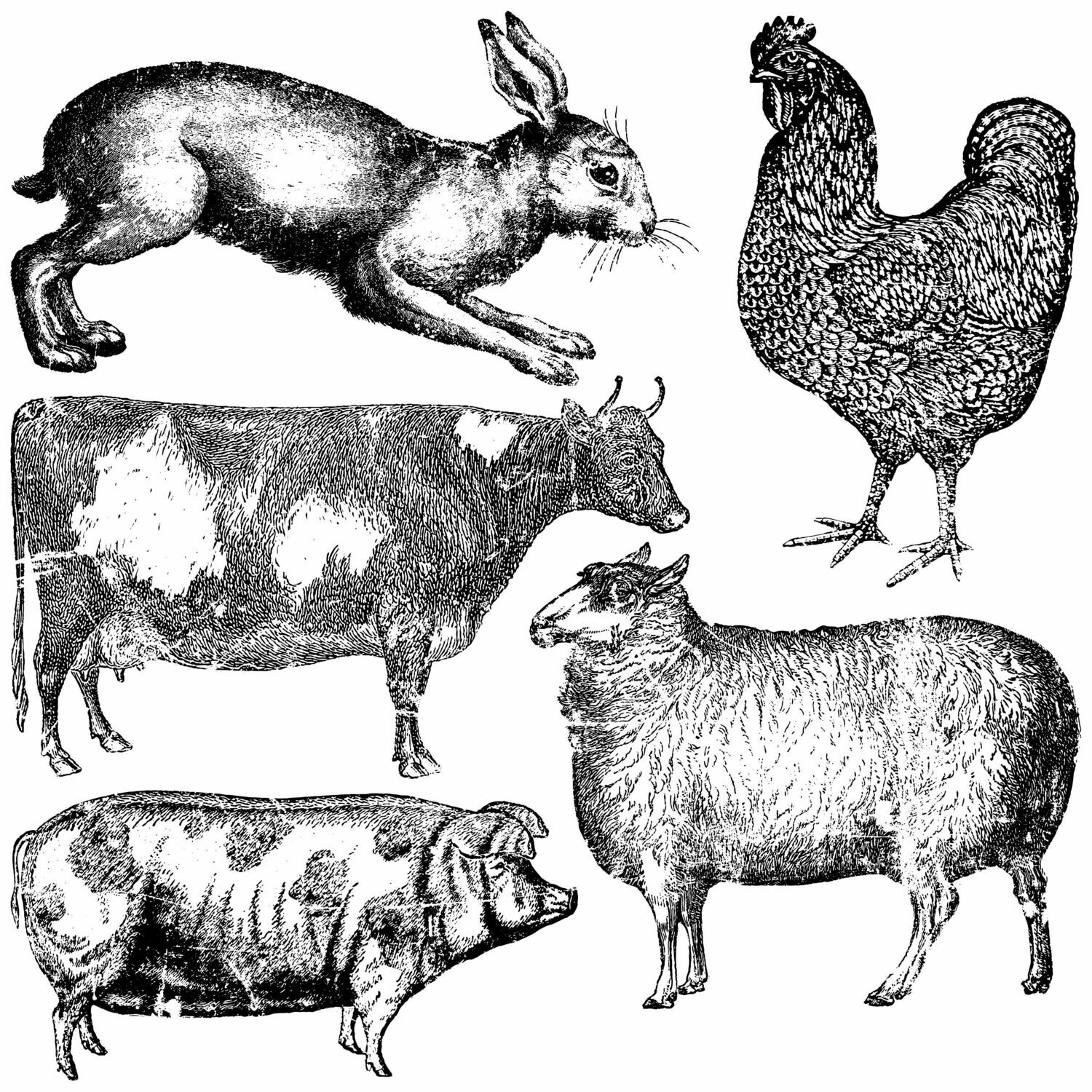 Farm Animals Decor Stamp 12x12 - Iron Orchid Designs