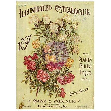 Nanz Neuner Transfer 24&quot; x 33&quot; - Art Decor - Iron Orchid Designs