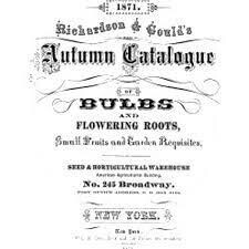 Seeds LG Transfer 30&quot; X 40&quot; - Art Decor Fashion - Iron Orchid Designs