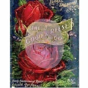 Etoile De France Transfer 24&quot; X34&quot; Sheets -  Iron Orchid Designs