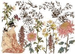 Japonica Decor Transfer 24&quot;x33&quot; - Iron Orchid Designs