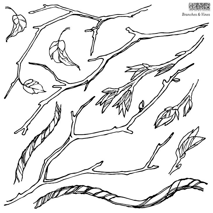 Branches And Vines 12x12 Stamp Iron Orchid Designs