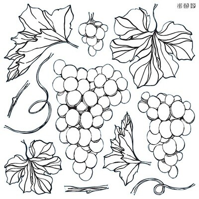 Grapes 12x12 Decor Stamp - Iron Orchid Designs