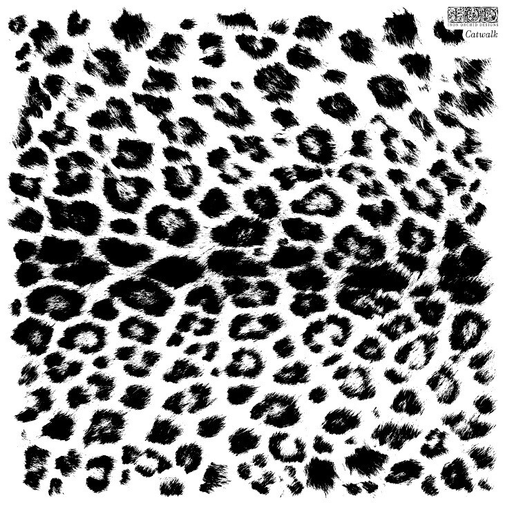 Catwalk 12x12 Stamp _ Iron Orchid Designs