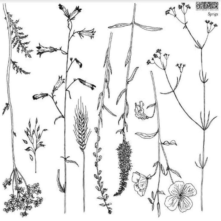 Sprigs 12x12 Decor Stamp - Iron Orchid Designs