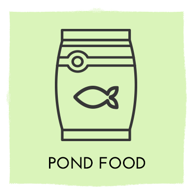 Pond Food