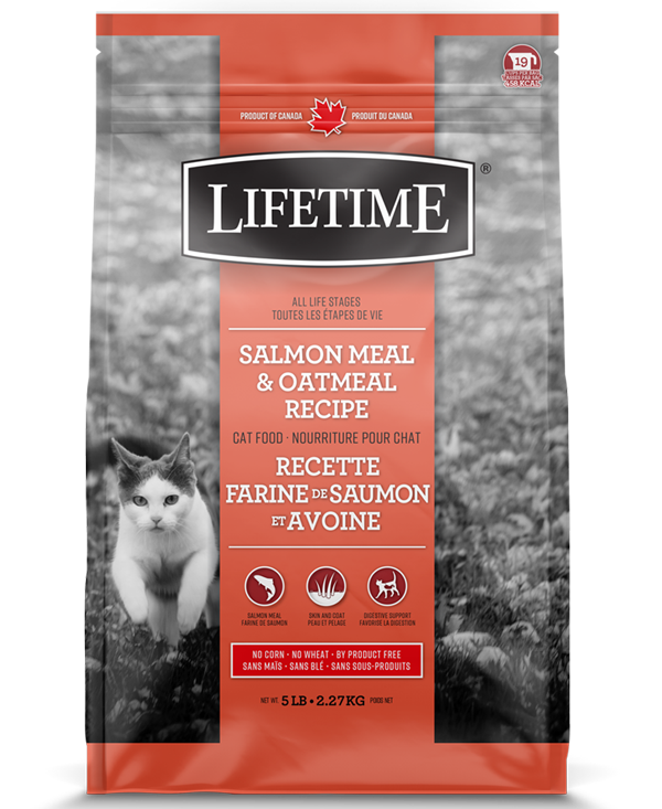 LIFETIME CAT SALMON & OATMEAL 6.5kg