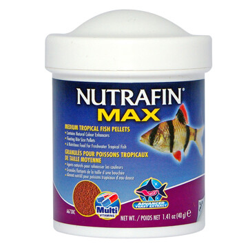NUTRAFIN MAX MEDIUM TROPICAL FISH PELLETS 40g