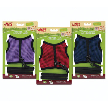 LIVING WORLD LARGE HARNESS AND LEAD SET - ASSORTED COLOURS
