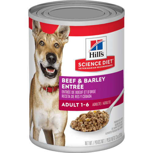 HILL'S SCIENCE DIET ADULT BEEF & BARLEY ENTREE 13OZ