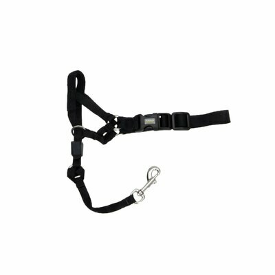 WALK &#39;N TRAIN HEAD HALTER M