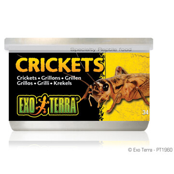 EXO TERRA CANNED CRICKETS 34g