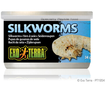 EXO TERRA CANNED SILKWORMS 34g