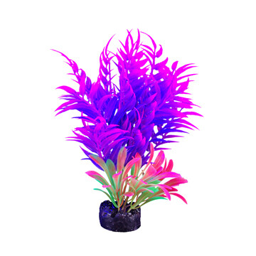 Marina I-Glo Plant 5.5" Pink/Purple Fern