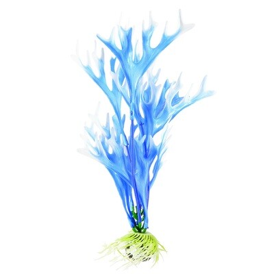 Underwater Treasures 8" - Blue Fire Fern