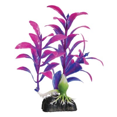 Underwater Treasures Mini Hygro Purple