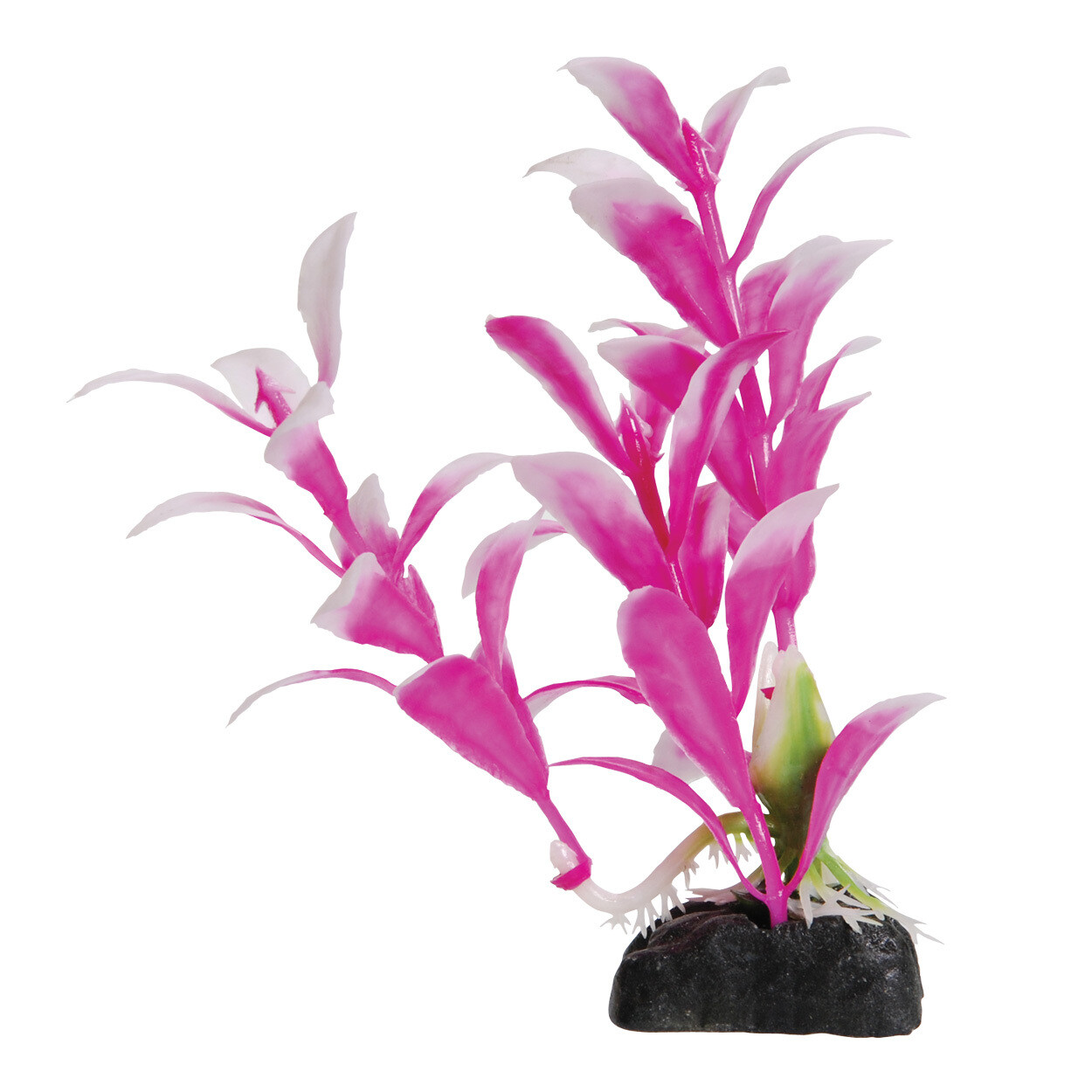 Underwater Treasures Mini Hygro Pink Plant
