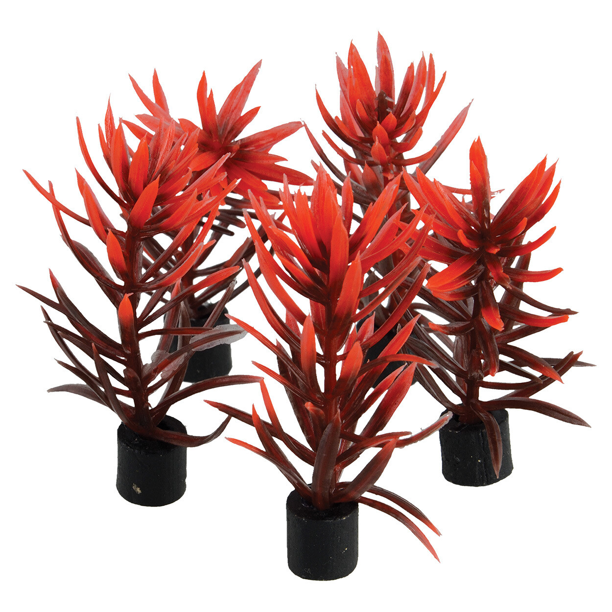 Underwater Treasures 5pk Mini Plant Red/Brown