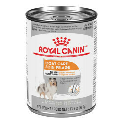ROYAL CANIN COAT CARE 13.5OZ