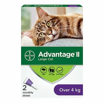 ADVANTAGE II FOR CATS OVER 4KG 2 DOSE