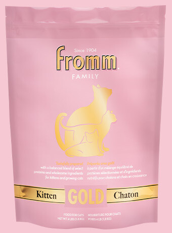 Fromm Gold Cat Kitten 4lb