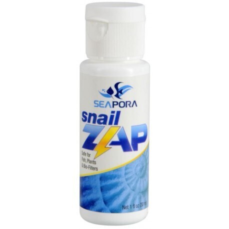 Seapora Snail Zap
