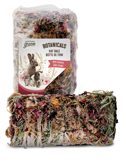 LIVING WORLD GREEN - BOTANICALS HAY BALE WITH FLOWERS 200g