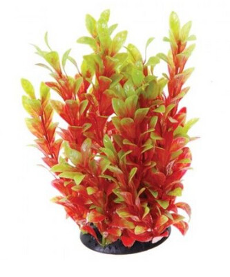 Underwater Treasures Red Ludwigia 10&quot;